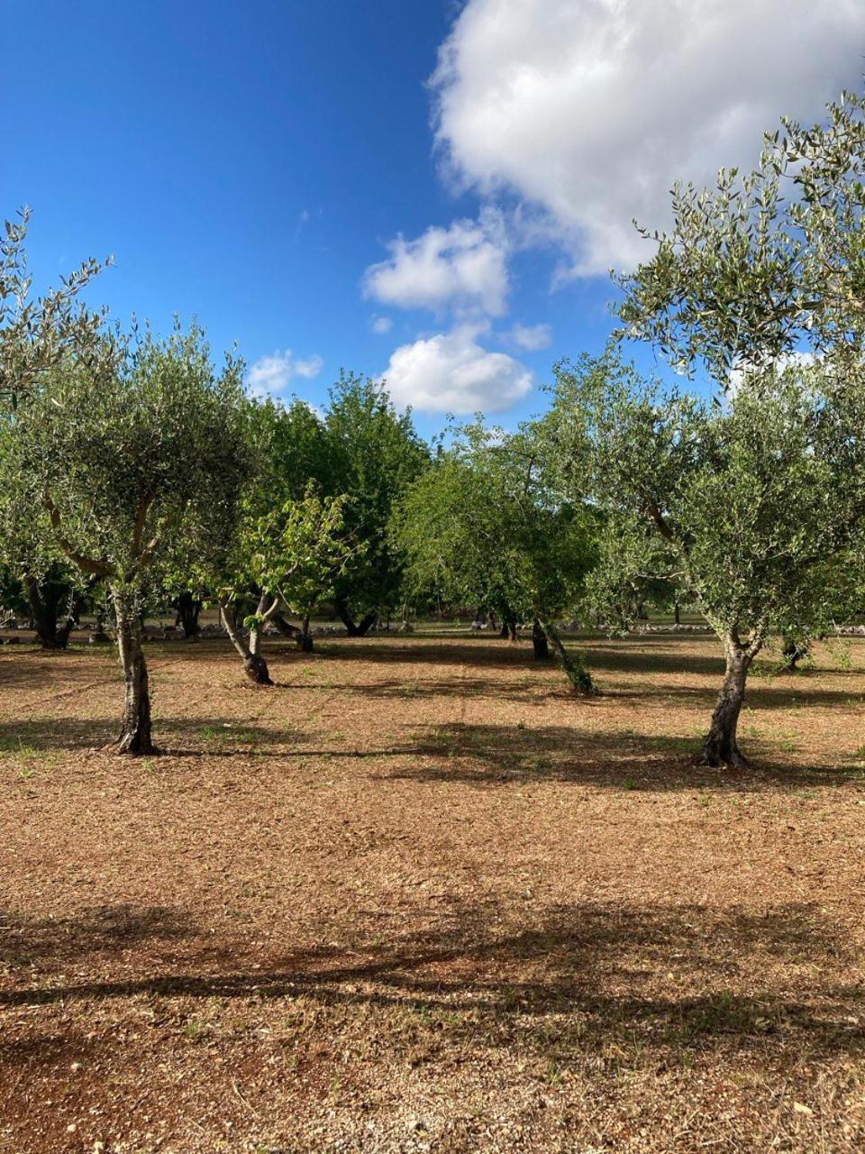 Antica Tenuta Dei Trulli By Qualitravel Alberobello Eksteriør billede